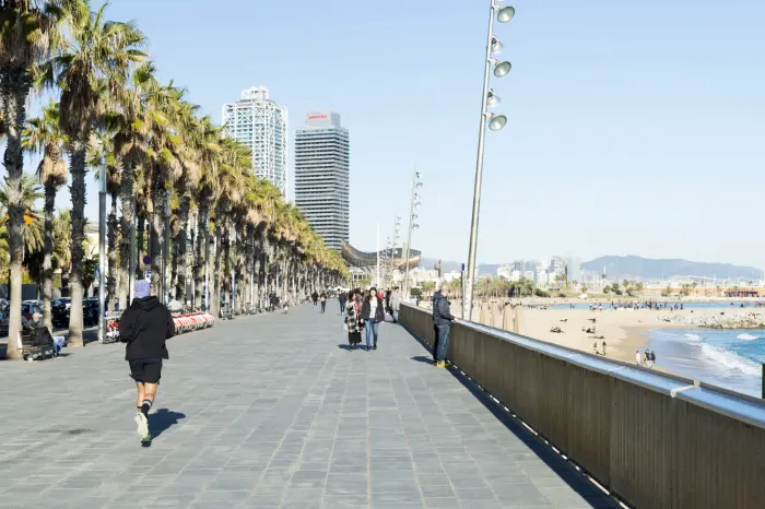 Camina una persona por un paseo junto al mar con palmeras y un muro de protección.