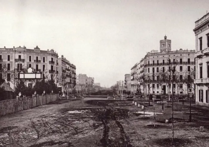 Blick auf eine breite Allee mit Gebäuden und Bäumen auf beiden Seiten.