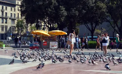 Personas caminan y hay palomas en una plaza urbana con edificios al fondo.
