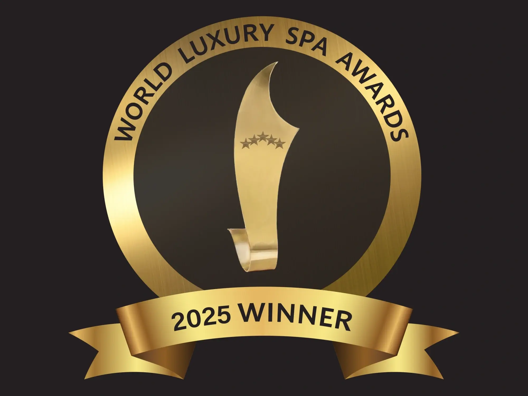 Este es un logotipo en color negro que representa el premio WLSA 2025, diseñado con un estilo moderno y elegante.