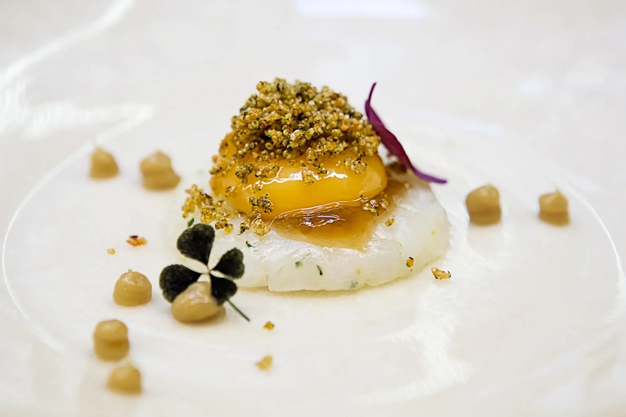 Lasarte tartar de calamar con yema de huevo liquida consome de cebolla y kaffir 1