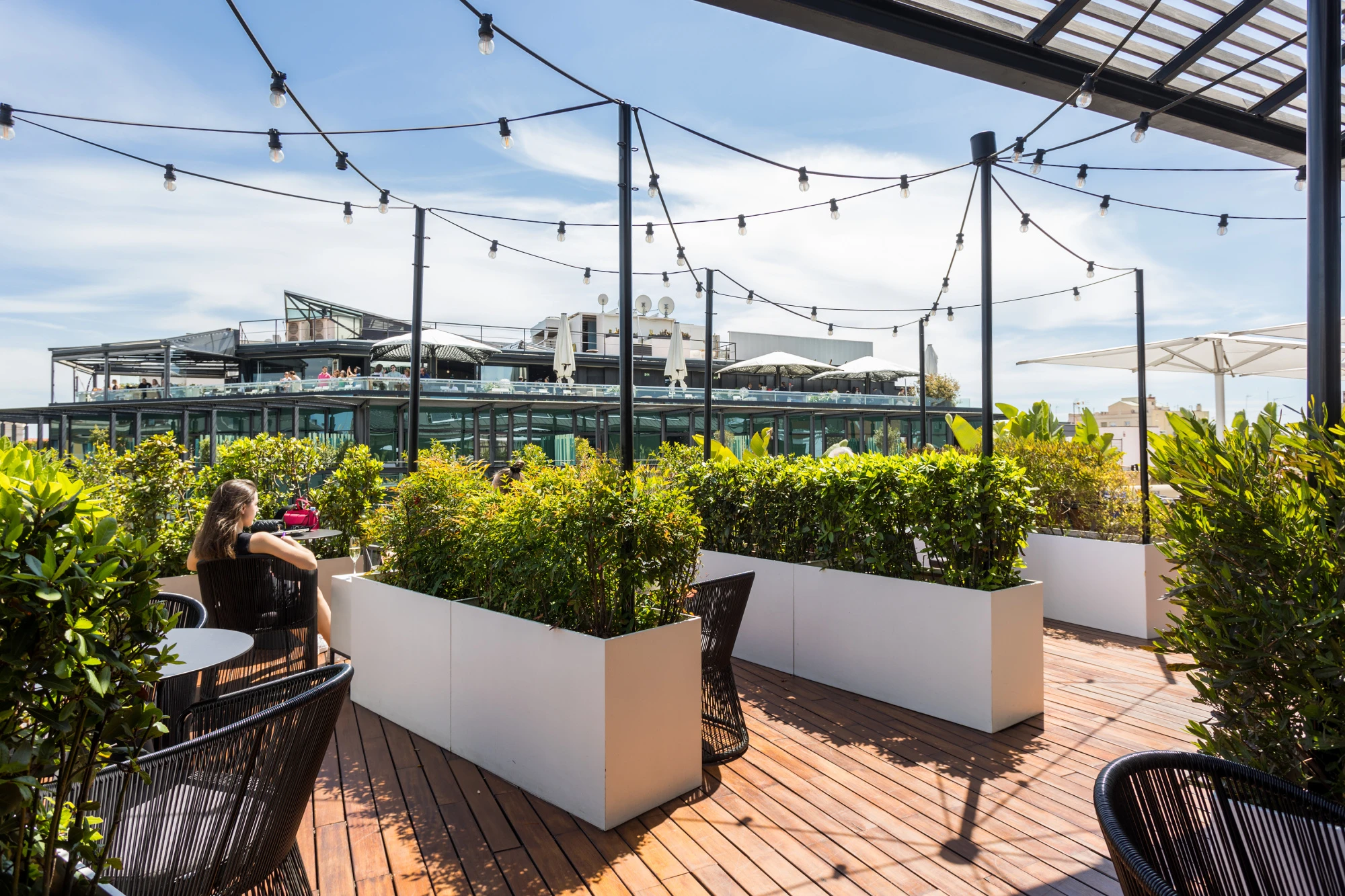 MH VERBENA TERRACE 85653