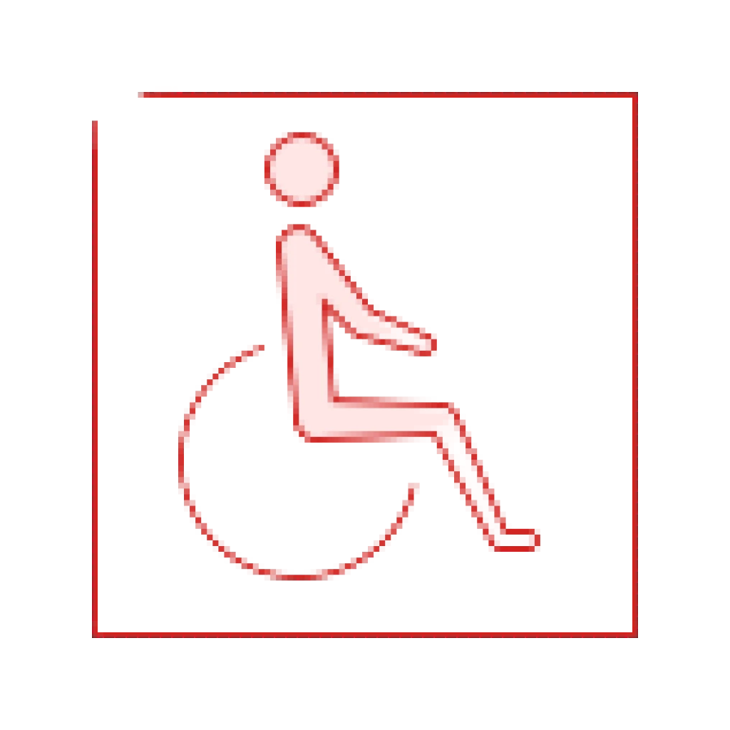 Ico disabled removebg preview