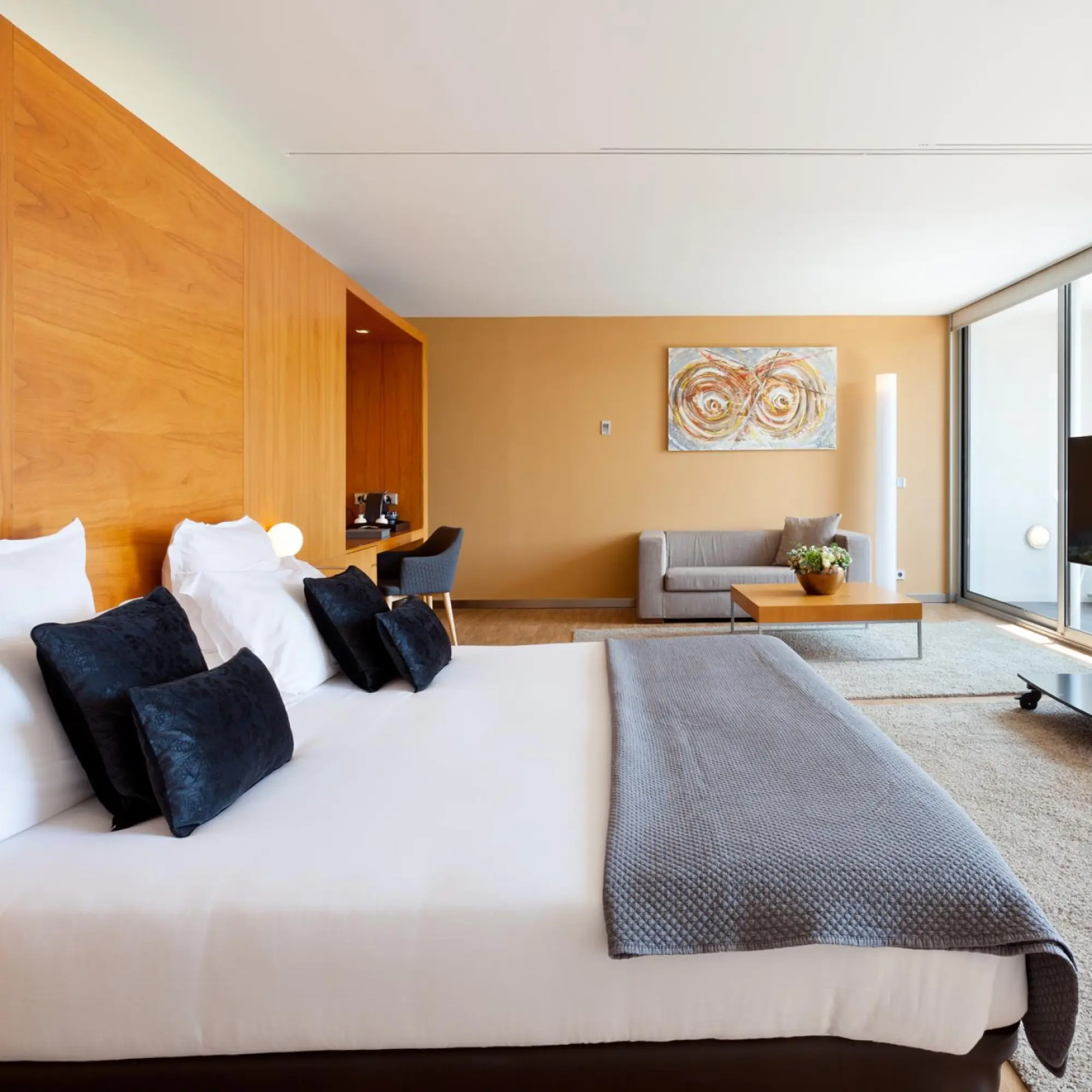 70533 suite 557