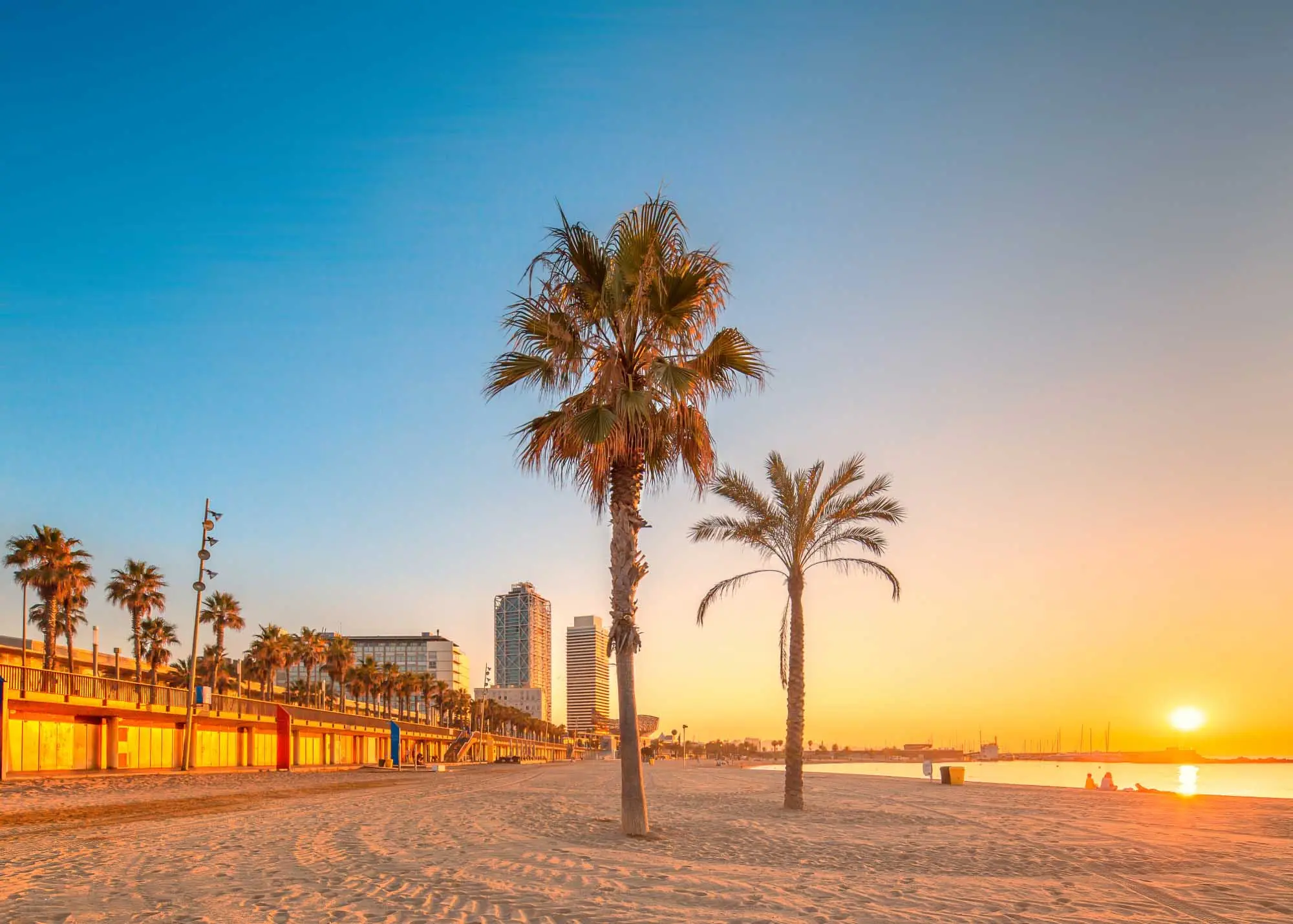 Reservas Anticipadas de Verano | Hotel Paral·lel