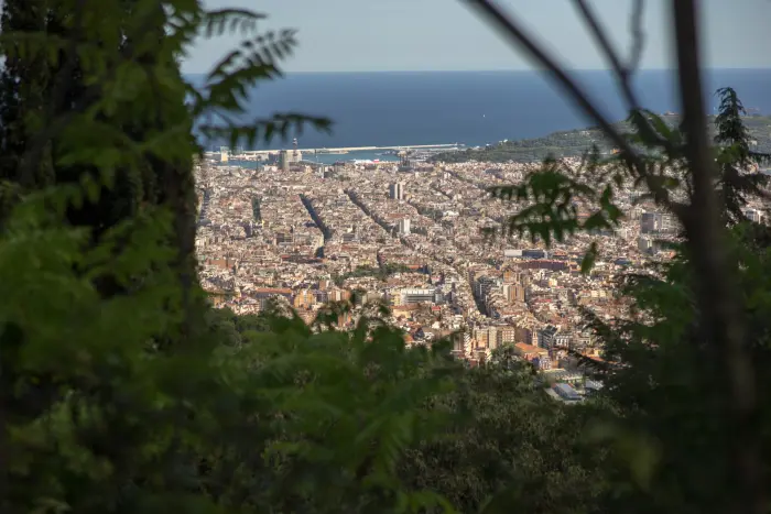 Se ve una vista amplia de la ciudad desde un área elevada, con vegetación en primer plano y el mar al fondo.
